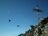 Salita dai Roccoli di Loria sul MONTE LEGNONE, 2609 m. - FOTOGALLERY